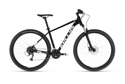 Spider 50 Black 2023.jpg