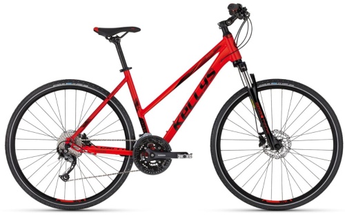 Pheebe 30 Red 2023.jpg