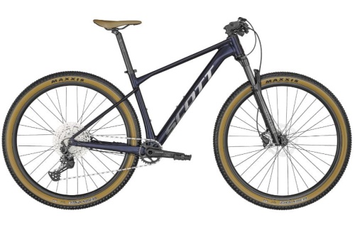 Scale 965 Blue 2024.jpg