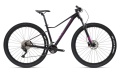 XC 879 W Gloss Black Rainbow - Purple 2023.jpg