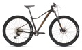 XC 899 W Gloss Gold Black - Copper 2023.jpg