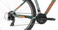 Spider 10 Green 2025 - 2.jpg