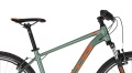 Spider 10 Green 2025 - 4.jpg