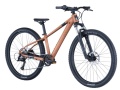 Roxter 600 Alloy Brown 2026 - 2.jpg