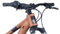 Roxter 600 Alloy Brown 2026 - 5.jpg