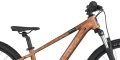 Roxter 600 Alloy Brown 2026 - 8.jpg