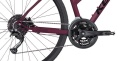 Pheebe 20 Rosy Red 2026 - 2.jpg