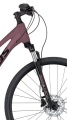Pheebe 20 Rosy Red 2026 - 3.jpg