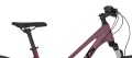 Pheebe 20 Rosy Red 2026 - 4.jpg