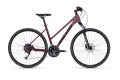 Pheebe 20 Rosy Red 2026.jpg