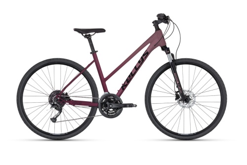 Pheebe 20 Rosy Red 2026.jpg