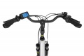 Traffic White 2025 - 9.jpg
