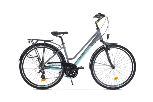 Naila 2.0 Szary Mat 2024.jpg