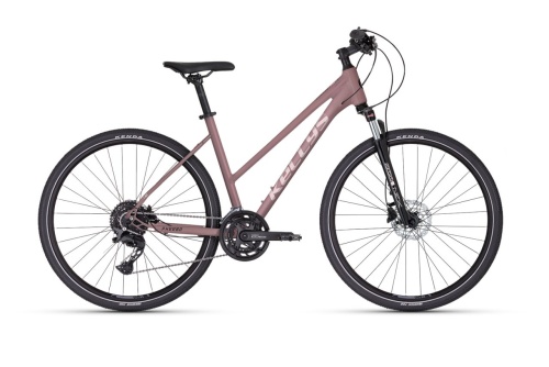 Pheebe 30 Rose Gold 2026.jpg