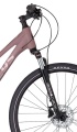 Pheebe 30 Rose Gold 2026 - 3.jpg