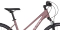 Pheebe 30 Rose Gold 2026 - 4.jpg