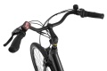 Basic Black 2026 - 10.jpg