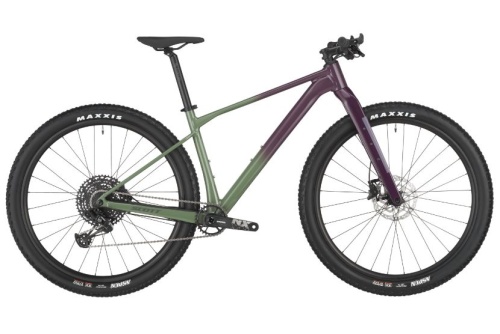 Scale Gravel 20 Olivine Green - Blackberry Purple 2025.jpg