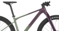 Scale Gravel 20 Olivine Green - Blackberry Purple 2025 - 4.jpg