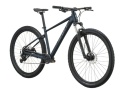 Contrail 30 Gravel Blue 2027 - 2.jpg