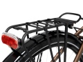 Gazela 6 Brązowo - Czarna 2026 - 8.jpg