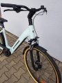 E-Diamond Pro 4.0 Jasna Oliwka 2026 - 7.jpeg