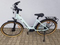 E-Diamond Pro 4.0 Jasna Oliwka 2026.jpeg