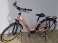 E-Diamond Pro 4.0 Łosoś Mat 2026 - 2.jpeg